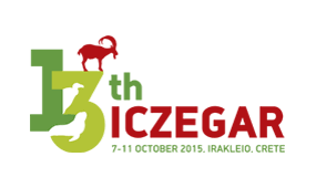 13ICZEGAR_logo